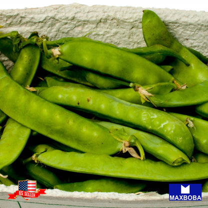 Pea Seeds Snap Super Sugar Snap Non-GMO Heirloom Vegetable