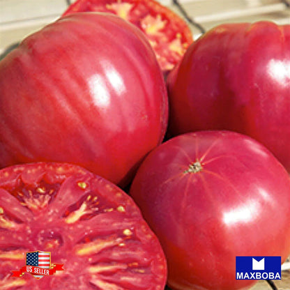 Tomato Seeds Brandywine Pink Heirloom Vegetable Non-GMO
