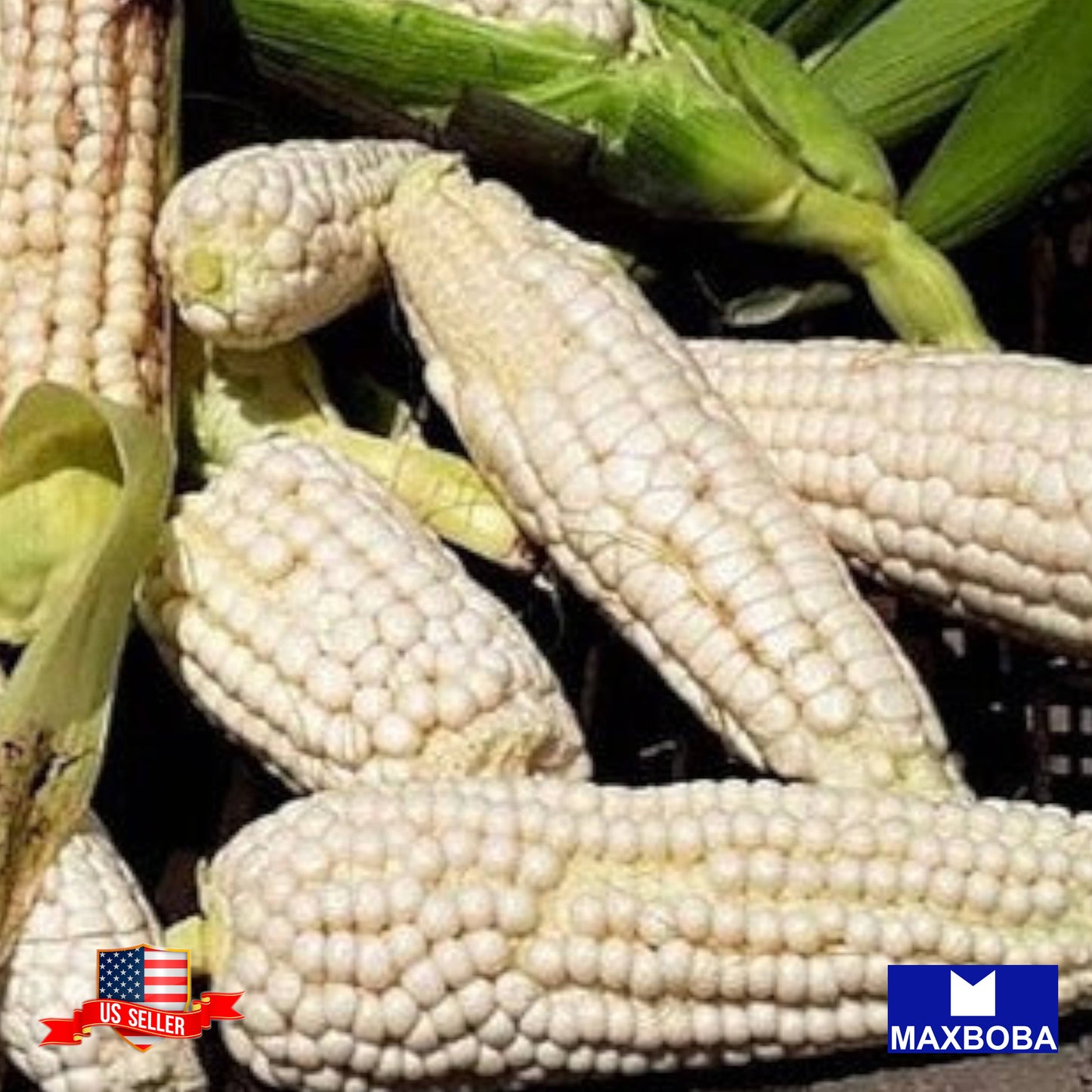 Corn Seeds Sweet Country Gentleman Heirloom Vegetable Non-GMO