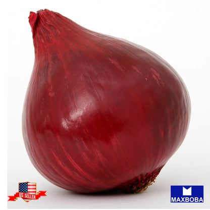 Onion Seeds - Red Burgundy Non-GMO / Heirloom / Garden Vegetable / Fresh