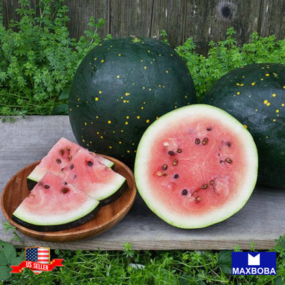 Watermelon Picnic Moon & Stars Seeds Heirloom Vegetable Non-GMO