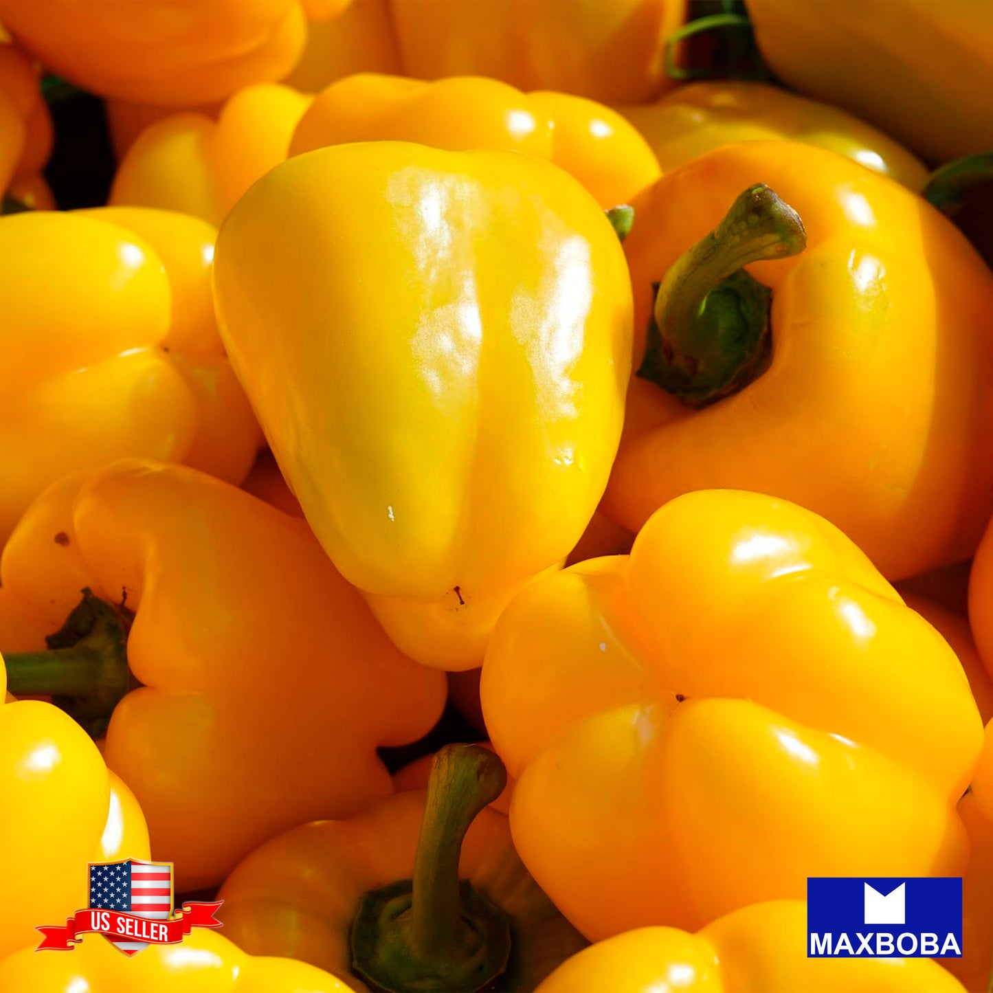 Pepper Seeds - Sweet - Mini Bell Yellow Non-GMO / Vegetable Garden Fresh