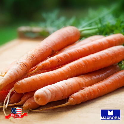 Carrot Scarlet Nantes Seeds Organic Vegetable Heirloom Non-GMO