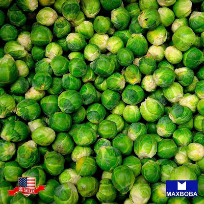 Brussels Sprouts Long Island Improved Seeds Heirloom Non-GMO