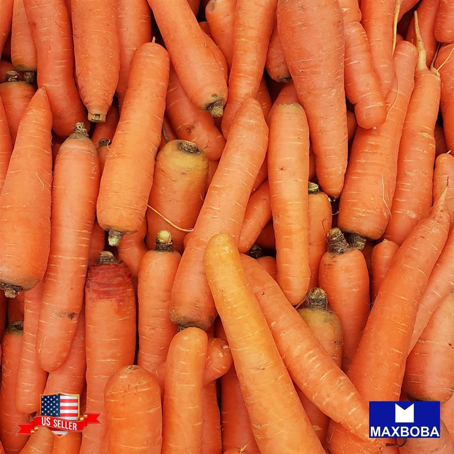 Carrot Seeds - Danvers 126 Non-GMO Heirloom
