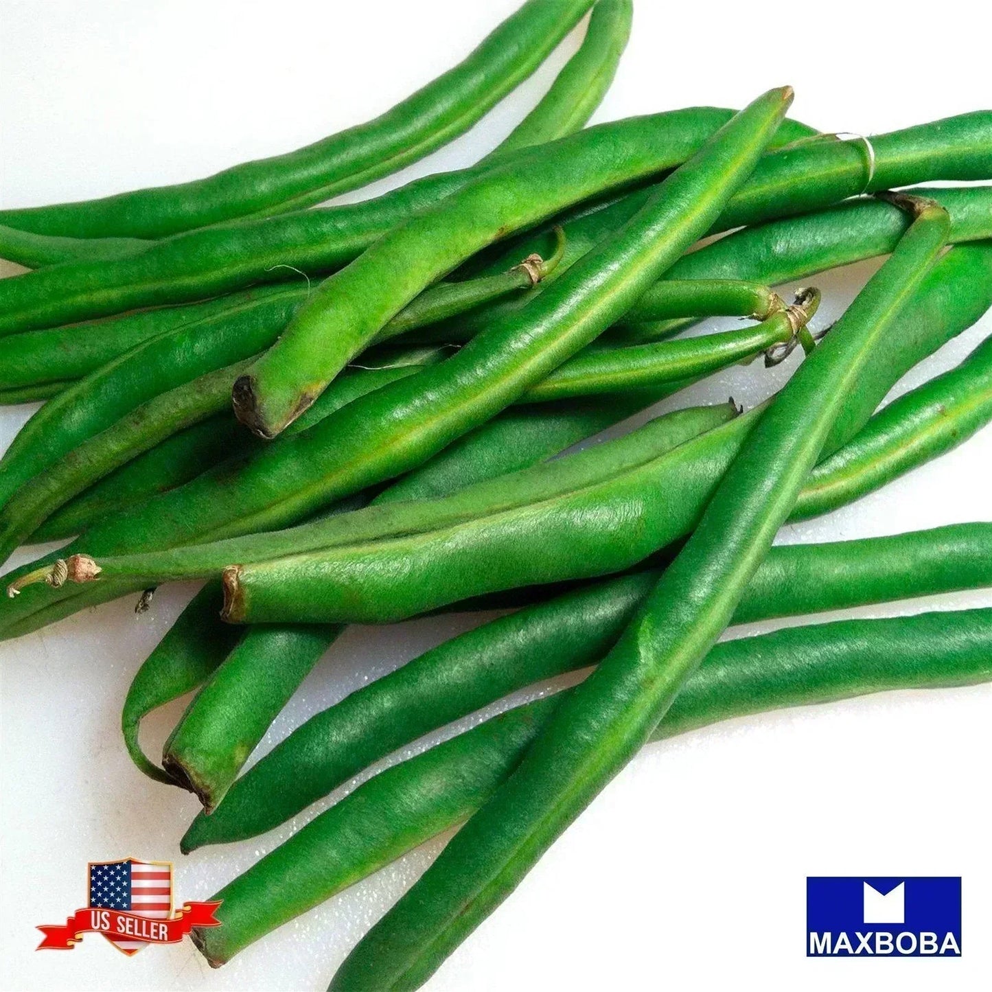 Bean Seeds - Bush - Jade Non-GMO Heirloom