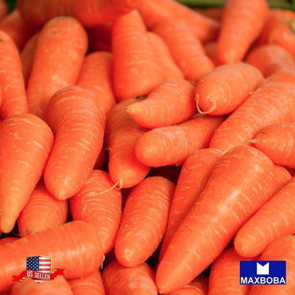 Carrot Seeds - Little Fingers Non-GMO Heirloom