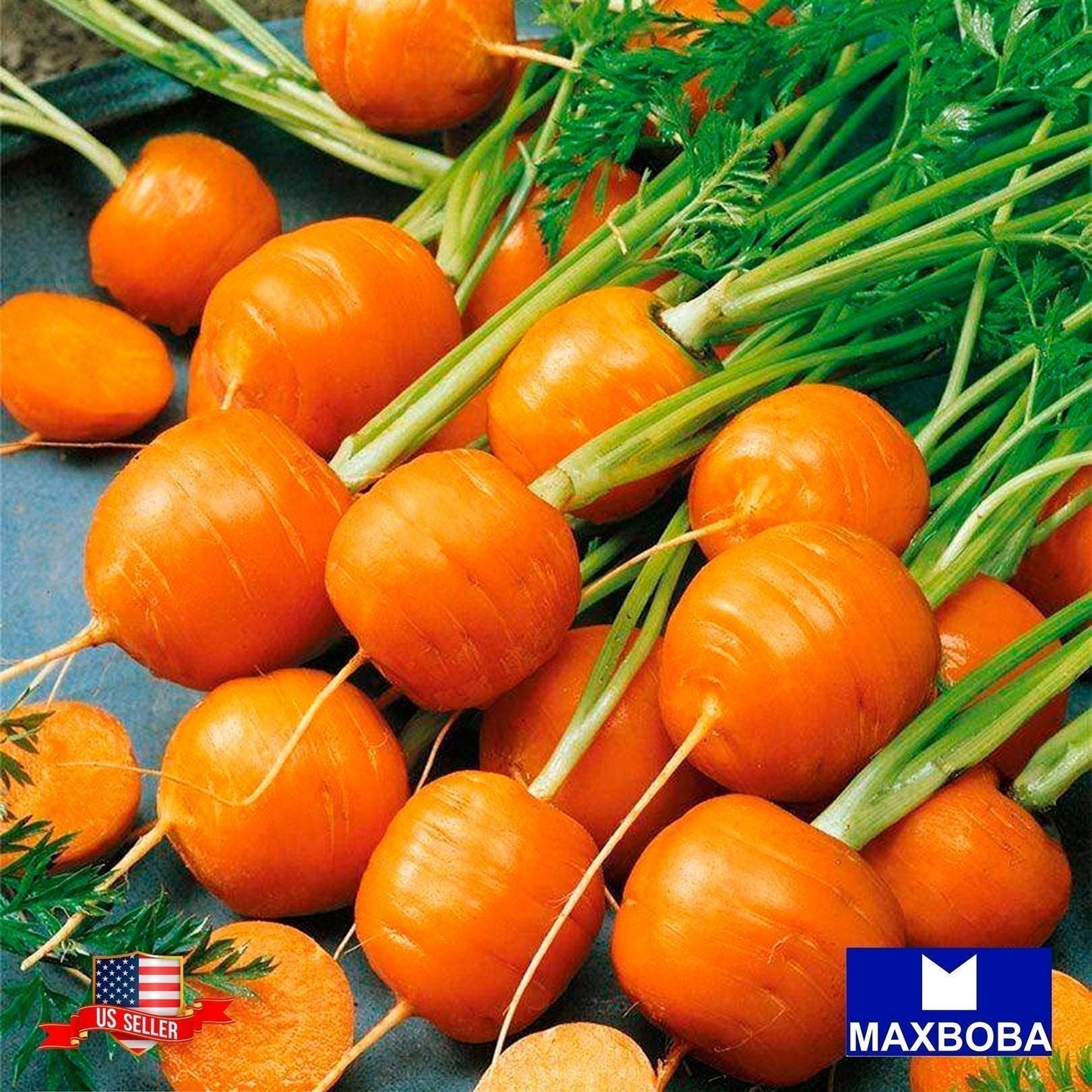 Carrot Seeds - Parisian Non-GMO Heirloom