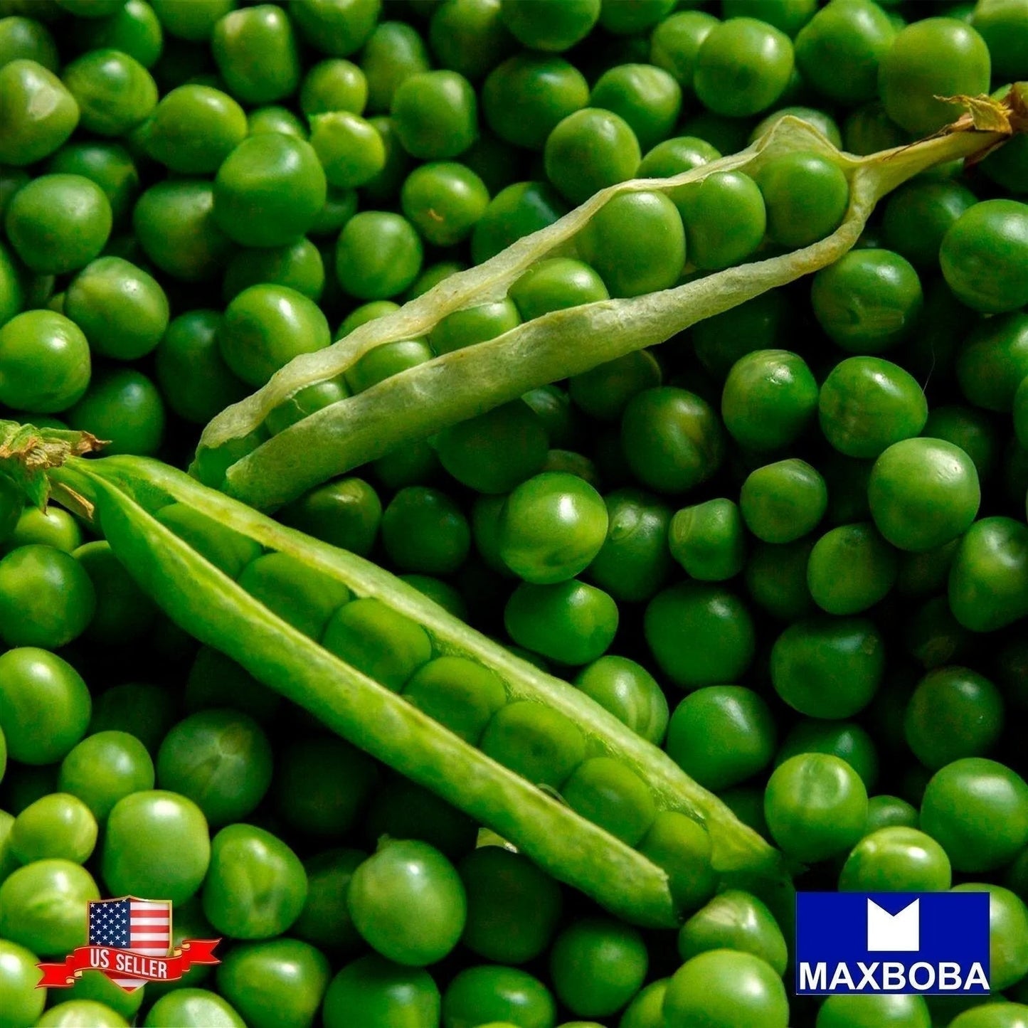 Pea Seeds - Snap - Sugar Snap Non-GMO Heirloom
