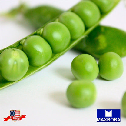 Pea Seeds - Snap - Sugar Ann Non-GMO Heirloom