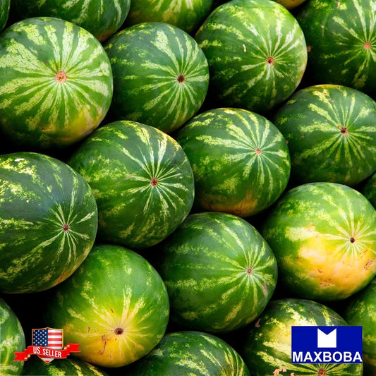 Watermelon Seeds - Picnic - Crimson Sweet Non-GMO Heirloom