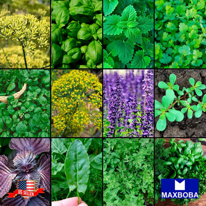 Herb Kit Bank of 15 Varieties Non-GMO Heirloom