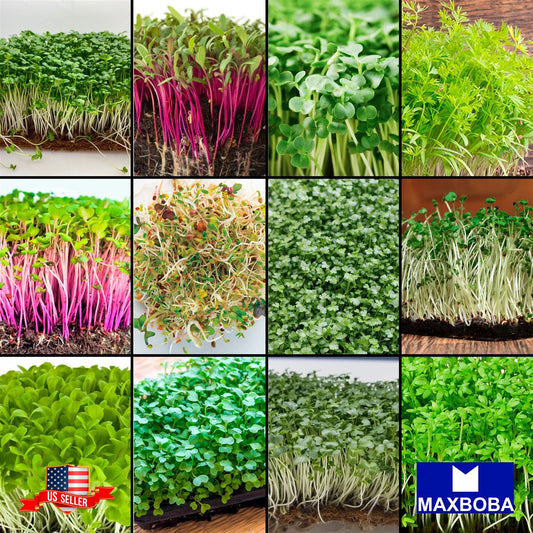 Microgreens Kit Bank of 15 Varieties Non-GMO Heirloom