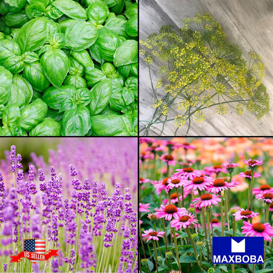 Kit Bank of 5 Varieties Herbal Tea Garden Mix Non-GMO Heirloom