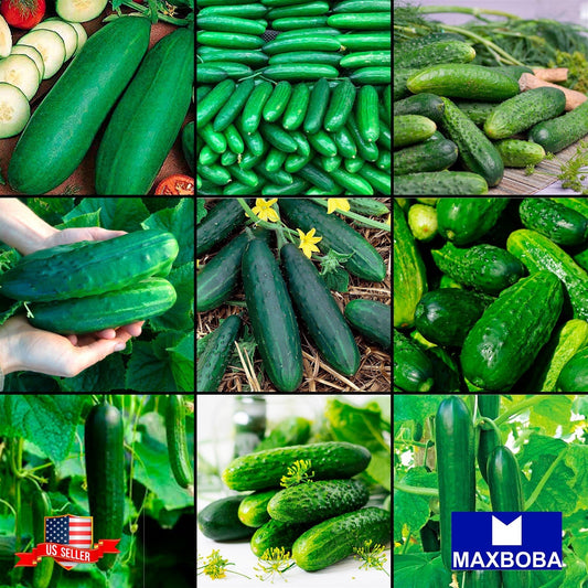 Cucumber Family Kit Bank of 8 Varieties Mix Non-GMO Survival Garden Heirloom