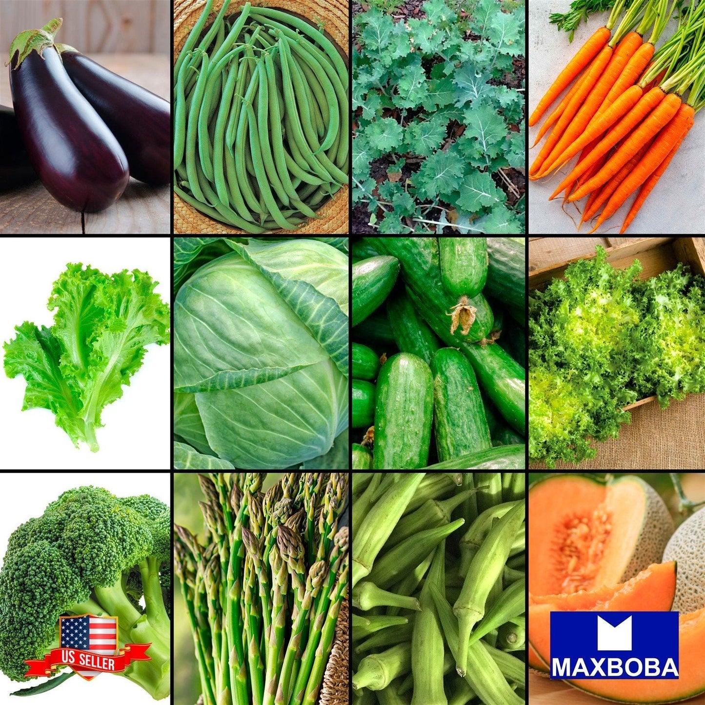 Kit Bank 25 Varieties Premium Vegetable Seeds Mix Non-GMO Heirloom